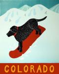 Colorado Snowboard Black