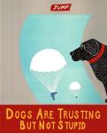 Dogs Are Trusting But Not Stupid banner