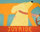 Joyride Yellow