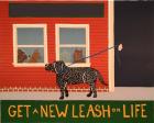 New Leash On Life Open Text