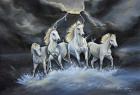 Thundering Horses