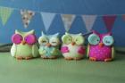 Owls Multi Color Brights