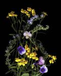 Pansy, Rosemary & French Tarragon