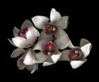 Pale Pink& Fushia Orchid 2