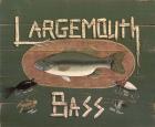 Largemouth Bass