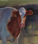 Cow