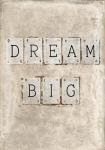 Dream Big