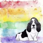 Rainbow Basset Hound