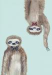 Hipster Sloths