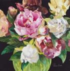 Mixed Peonies