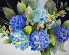 Hydrangeas in Blue