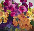 Petunias and Pansies