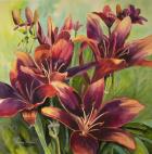 Red Purple Lilies