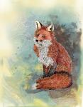 Paisley Fox