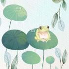 Rainforest Ribbit