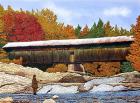 Fishing At The Swiftwater Bridge