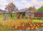 Pumpkins And Cornstalks