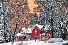 Dressed For The Holidays, Hamburg Ny