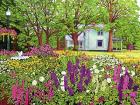 North Boston Road Flower Garden, Eden Ny