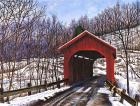 Old Red Bridge In Vermont