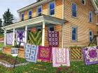 Quilts Nine On The Line, Lancaster, Pa