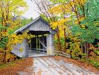 Vermont Bridge In Fall