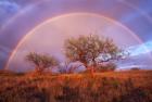 Arizona Rainbow