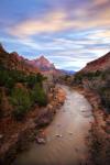 Zion River Vert