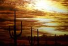 Cactus Sunset