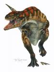 Allosaurus