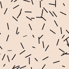 Angel Pink Black Matchstick Confetti