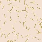 Angel Pink Golden Matchstick Confetti