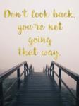 Dont Look Back