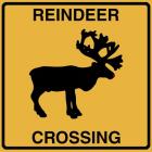 Reindeer Crossing