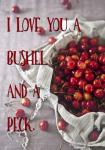 Bushel And A Peck