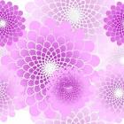Spiral Flowers Pattern Pink