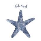 Starfish Tide Pool