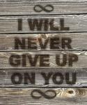 I Will Never Give Up On You