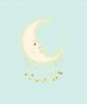 Dreaming Of The Moon