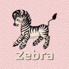 Cute Baby Zebra