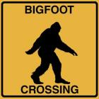 Bigfoot Crossing