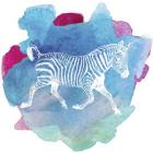 Color Spot Safari Animals Zebra