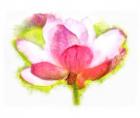 Karmic Propagation