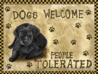 Dogs Welcome