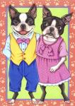 Boston Terrier Couple