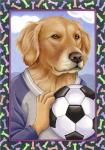 Golden Retriever Soccer Ball