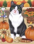 Harvest Cat