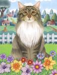 Spring Maine Coon