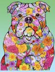 Flowers Bulldog