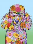 Flowers Poodle